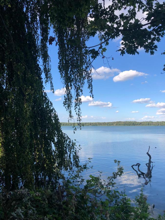 Вилла Osada Ladimorg Moryn Экстерьер фото